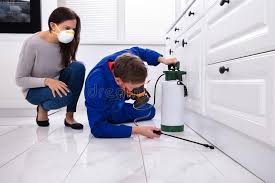 Emergency Pest Control Services in Williamsville, IL